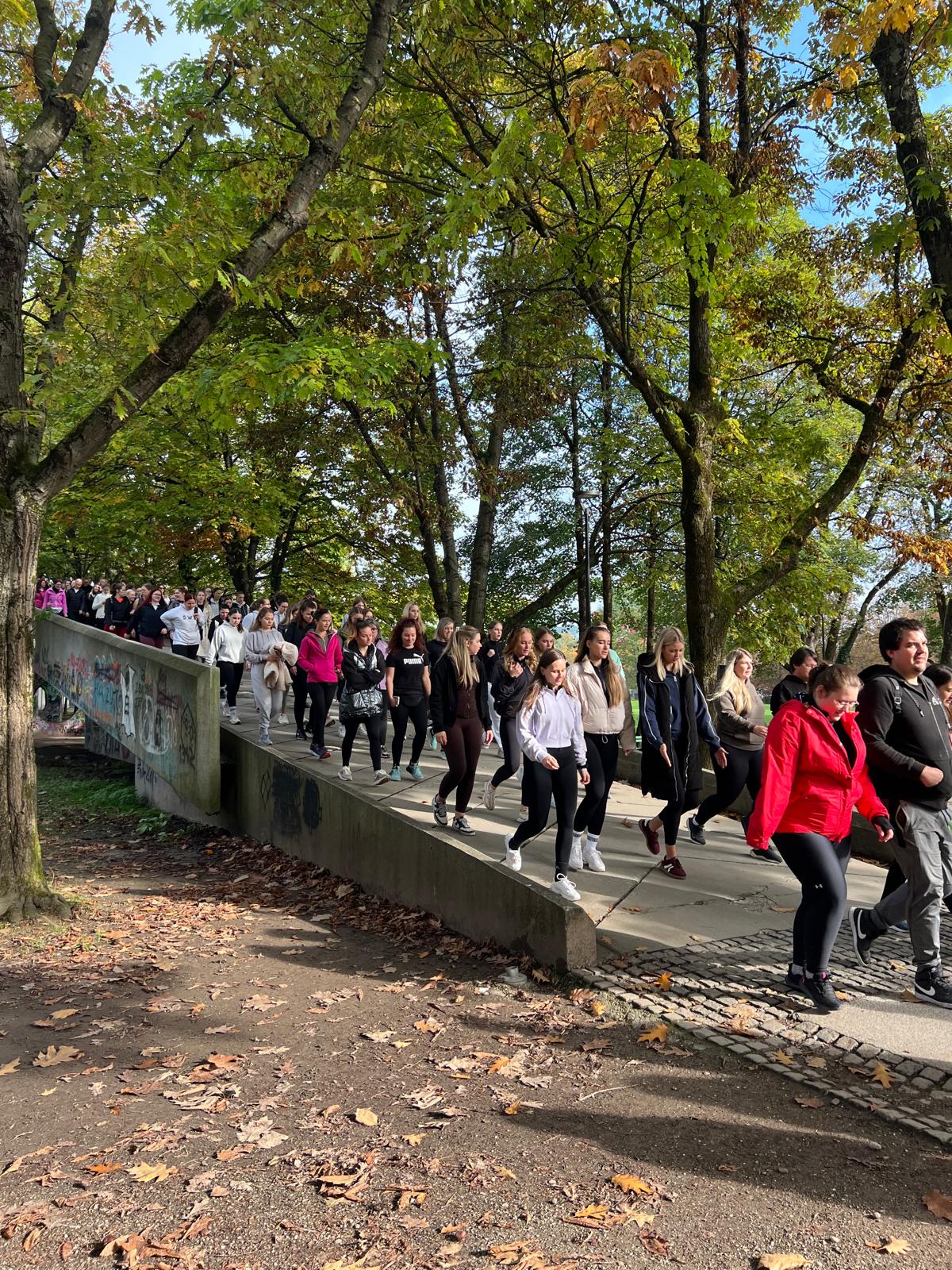 SWY WALKING CLUB